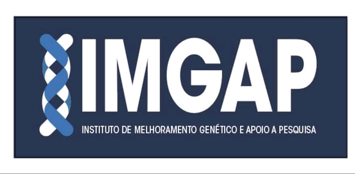IMGAP